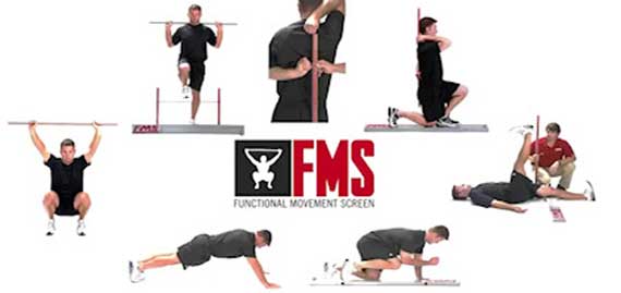 Fms index. FMS тестирование. Functional Movement Screen FMS Test. FMS система. Пирамида Грея Кука.